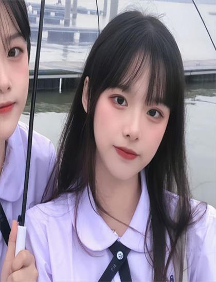 文化分析：《圣保罗的调色盘》中的海外的发行策略与文化适应 认识电影作为文化载体的功能